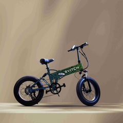 electric bicycle