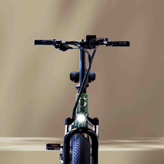 electric bicycle